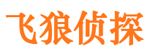 南阳外遇调查取证